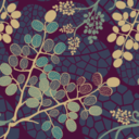 heartbeatsinthegrass avatar