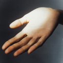 heartshapedscab avatar