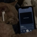 heath-ledger-jokers-wife avatar