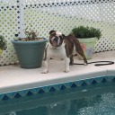 heather162024 avatar