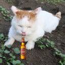 heavenknowsffs avatar