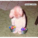 heavenlylightbeams avatar