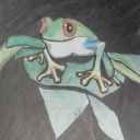 heavymetalyogi-blog avatar