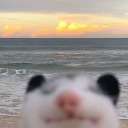 heavypicklebrokemydundunheart avatar