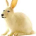 heavytheheavy avatar