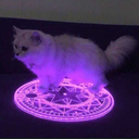 hecknoihaveatc avatar