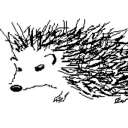 hedgehogcryptid avatar