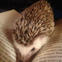 hedgehogreads avatar