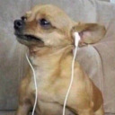 helen-d-stortion avatar