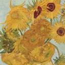 helianthus-annus-thoughts avatar