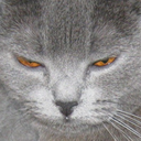 hella-lame-mofo avatar