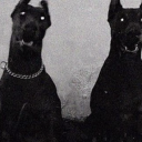 hellboundgorehound avatar