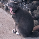 hello-hell-uwu avatar