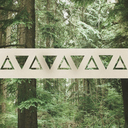 hello-space-tree avatar