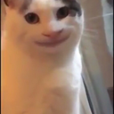 helloweflawless avatar