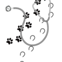 help-im-a-vetstudent avatar