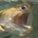 help-me-or-kelp-me avatar