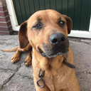 help-thypeople avatar