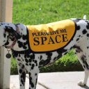 helpmeyobiwuan avatar