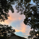 herbieintheskywithvengeance avatar