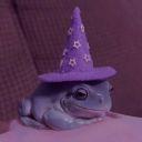 here-and-queer312 avatar