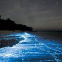 here-in-the-silence avatar