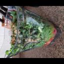 hermd123-blog avatar