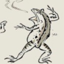 herrfrosch avatar