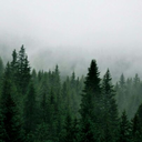 hersomethingmore avatar