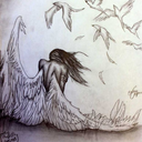 herzgegenvertsand avatar