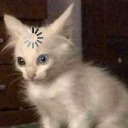 hey-hoo-wachu-gonna-do avatar