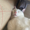 heyaitsmeyagirl avatar