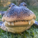 heyheycallmeheyhey avatar