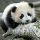 heyitsmejessss avatar