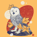 heysnowyowl avatar