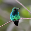 heytherehanuman-blog avatar