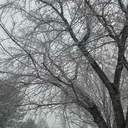 hidden-in-the-cloud avatar