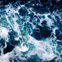 hiddlestonandshit avatar