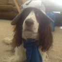 high-functioning-hufflepuff avatar