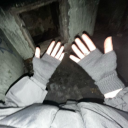 high-on-stickbugs avatar