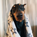 highbythebeaaach avatar