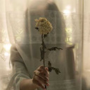 highheelsinblood avatar