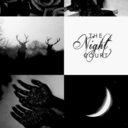 highladyofnight avatar