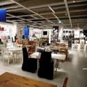 hijacked-dandelion avatar