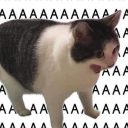 hippety-hoppety avatar