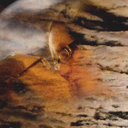 hippiefaeriefreak avatar