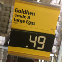 hipster-taco-problems avatar