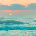 hipster-w0rld avatar