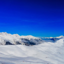 hipsterdragon98 avatar