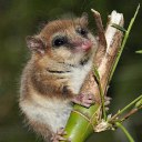 hipstersshallburn avatar